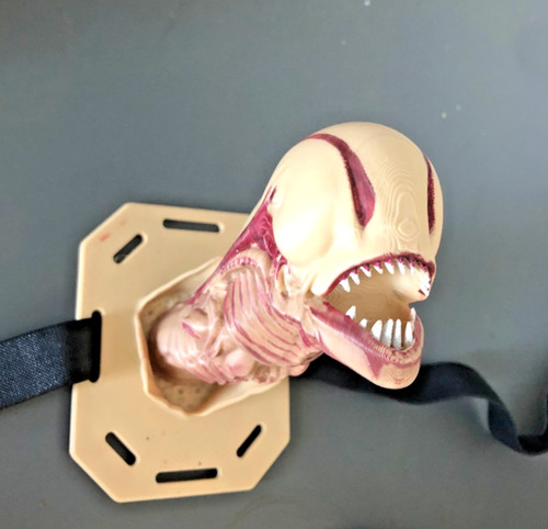 Alien chestburster prop 3d - alien,