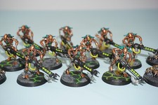 Necron Warriors & Scarabs