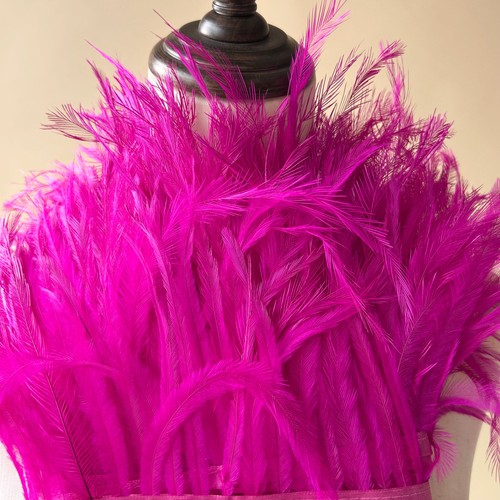 Turkey feather trim - feather, fluffy