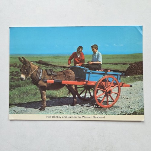 1977 irish donkey and cart - 1977,
