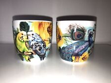 Wild and Wolf Ltd. Bath. England. Wanderlust cups X2 designs. parrots & peacocks