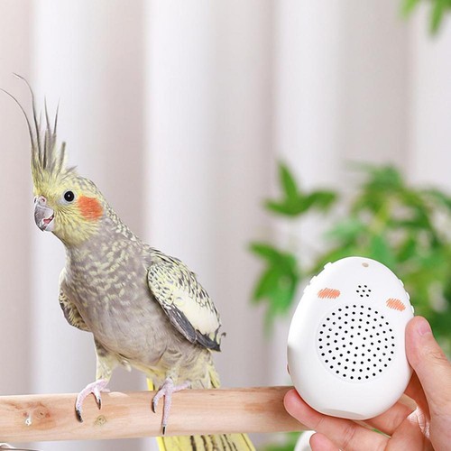Bird learning machine - machine, teach
