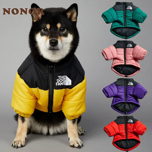 The dog fans winter - fans, pet