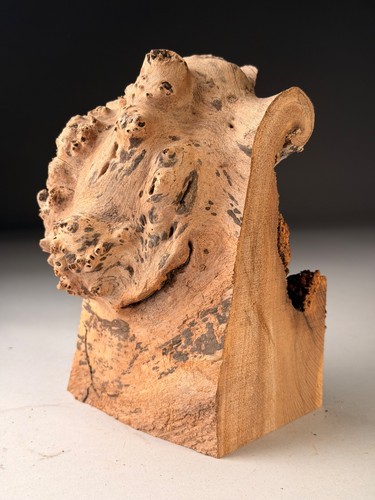 Spalted burr elm - elm, edge
