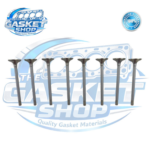 Inlet valves beetle bora - 8, x