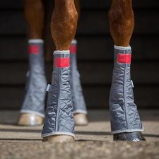 Equilibrium Equestrian Horse