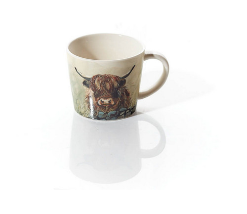 Scottish dougal highland cow - highland,