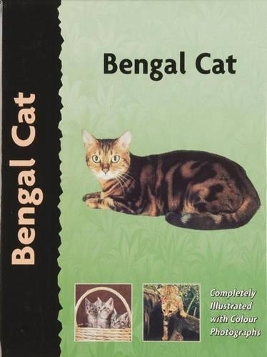 Bengal cat by - cat,