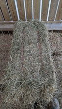 Conventional Small Hay Bales. 40cm X 30 cm X  100cm. 20kg +