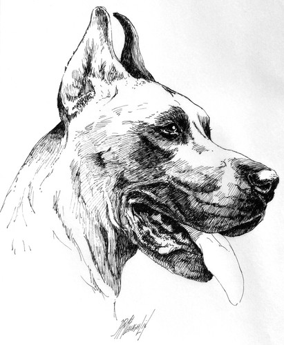 Laughlin 70s pen ink - pen, pet