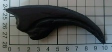 Dinosaur RAPTOR CLAW Jurassic