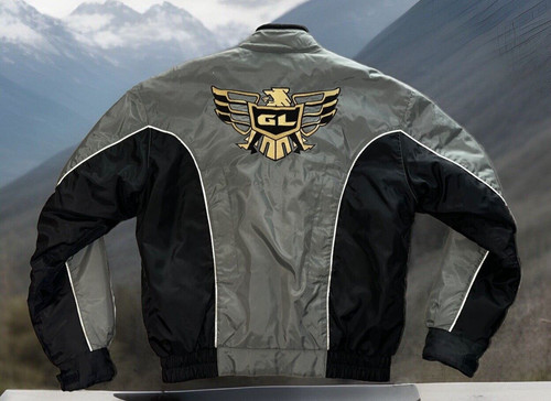 Honda goldwing rider - honda,