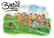 Birdie: The Best of Darren Bird: The Be..., Darren Bird