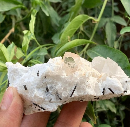 298 gram amazing - amazing, topaz