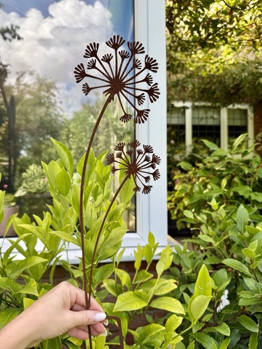 Rusty metal allium - metal,