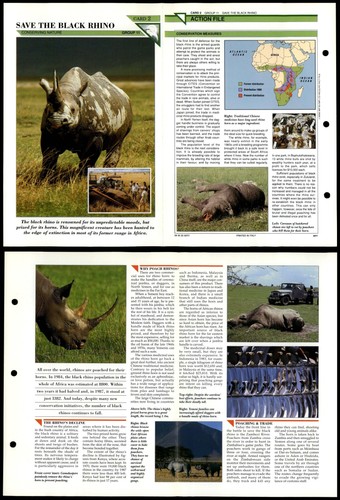 Save the black rhino 2 - save,