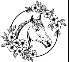 Horse Box Vinyl Decal |