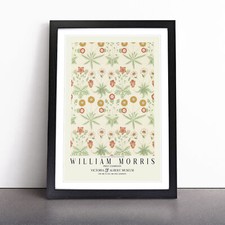 Daisy With Border By William