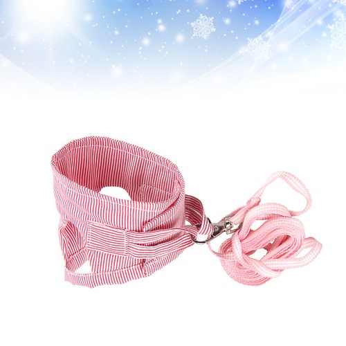 Puppy harness for small - for, dogs