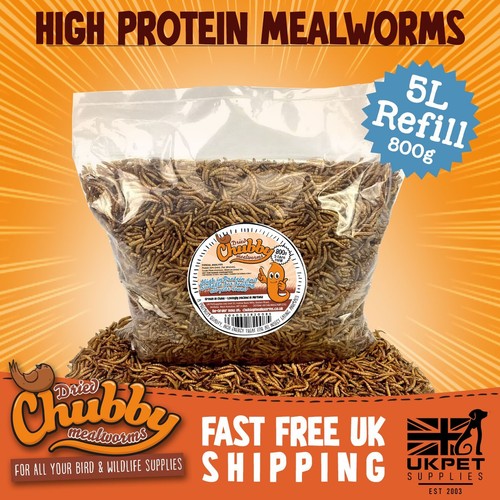 Dried mealworms for birds - dried,
