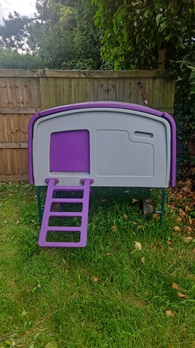 Omlet eglu chicken coop used - chicken,