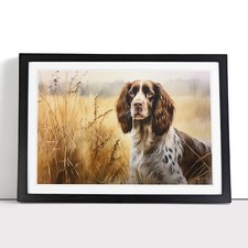 English Springer Spaniel