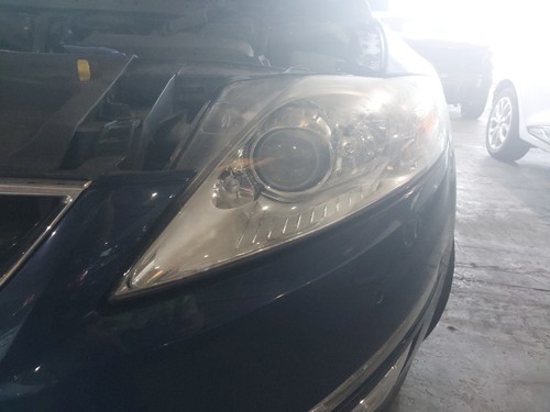 Headlight passenger left lamp - passenger,
