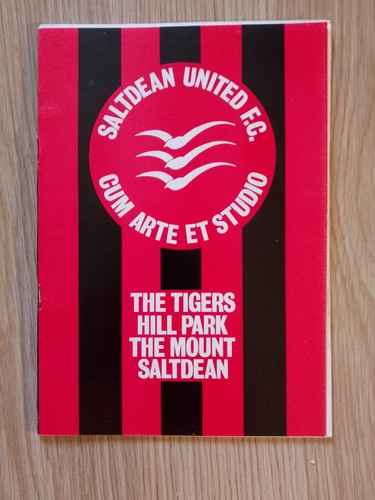 Saltdean united worthing - v,