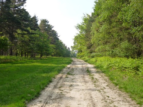 Photo 6x4 ride - ride,, swinley