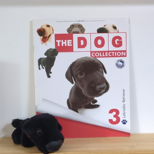 The dog collection artist - the,
