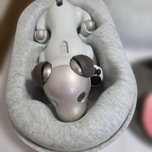 Sony aibo - , (ers-1000)