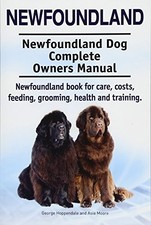 Newfoundland. Newfoundland Dog