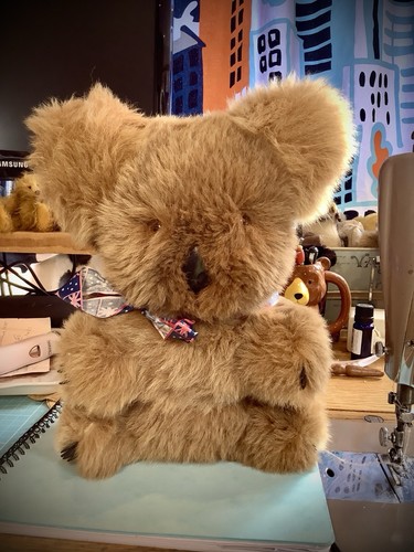 Koala bear called wonk - koala,