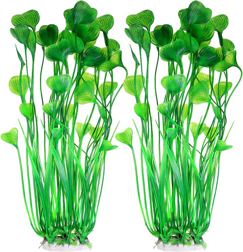 Pcs large aquarium - pcs, plants