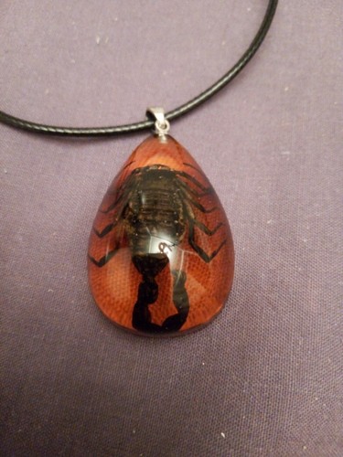 Natural rare black - , scorpion