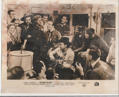Vintage 1940 star dust - vintage, uk