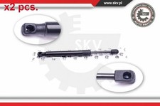 X2 PCS TAILE GATE GAS SPRINGS
