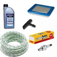 Hayter Harrier 41 48 56 Petrol Lawnmower Service Kit For Quantum Engine