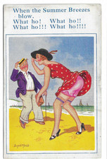 Donald McGill Saucy Seaside