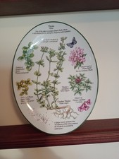 Royal Worcester Bone China -