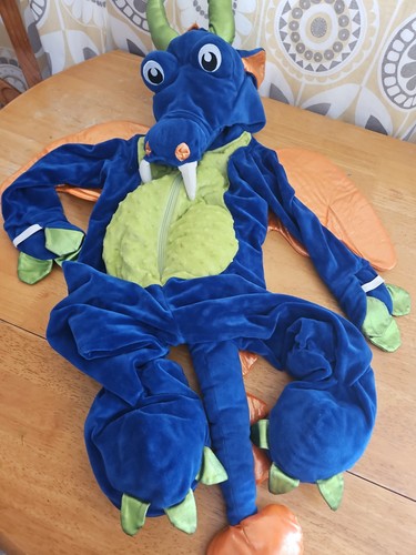 Dragon costume for kids - costume,