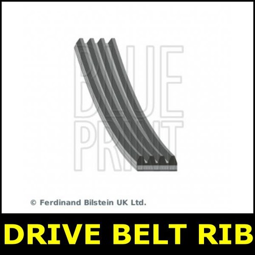 Drive belt fits jaguar 6 - drive, xj