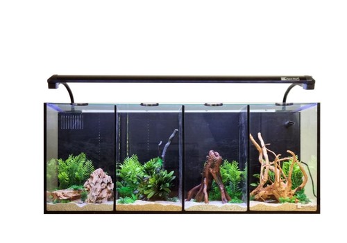 Aqua one betta - quad, glass