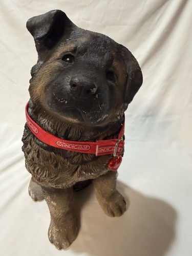Rare sandicast german shepherd - german,