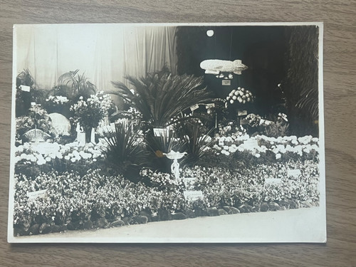 Vintage germany flower show - vintage,