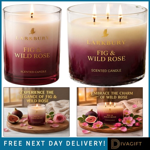 Larkbury fig wild rose - larkbury,