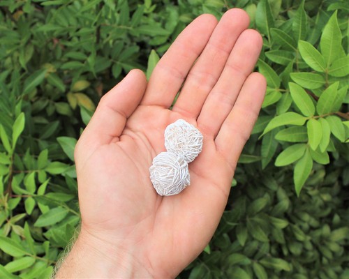 Desert rose selenite buds - desert,