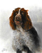 ✤ ORIGINAL Oil Portrait