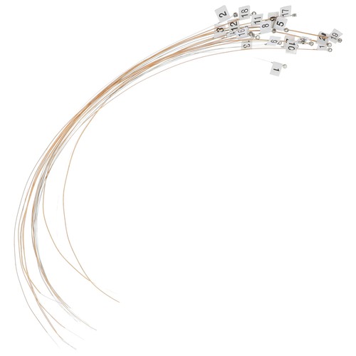 Set lyre strings - 1,