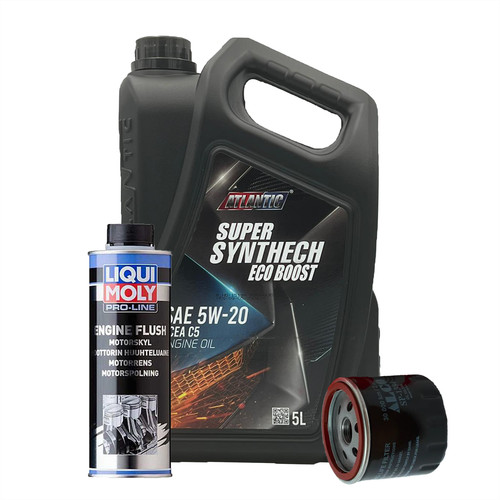 Service kit austin metro - service,